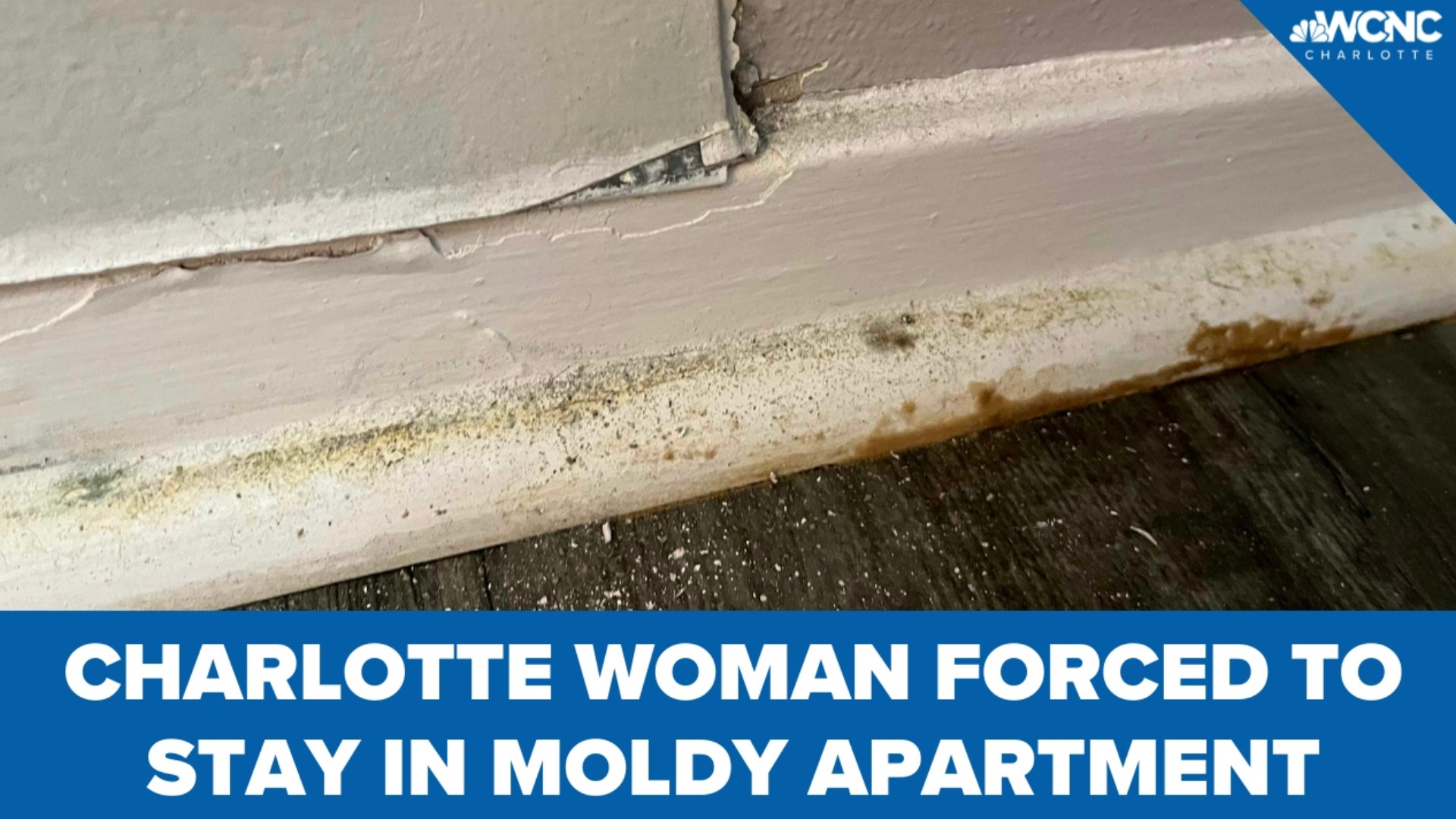 She said she discovered a problem with her pipes leaking from the HVAC unit on Saturday, June 18, with puddles covering the bathroom and closet floors.