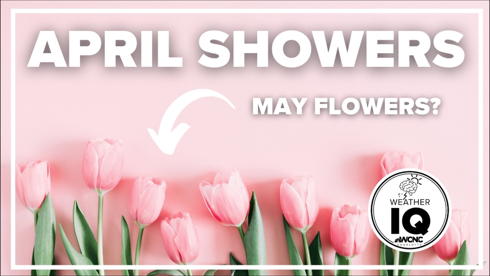 april showers bring may flowers banner