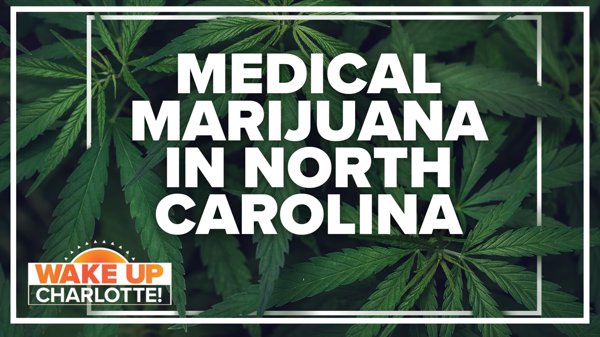 Polls show medical marijuana is highly popular, but Republican politicians have been hesitant to approve it until recently.