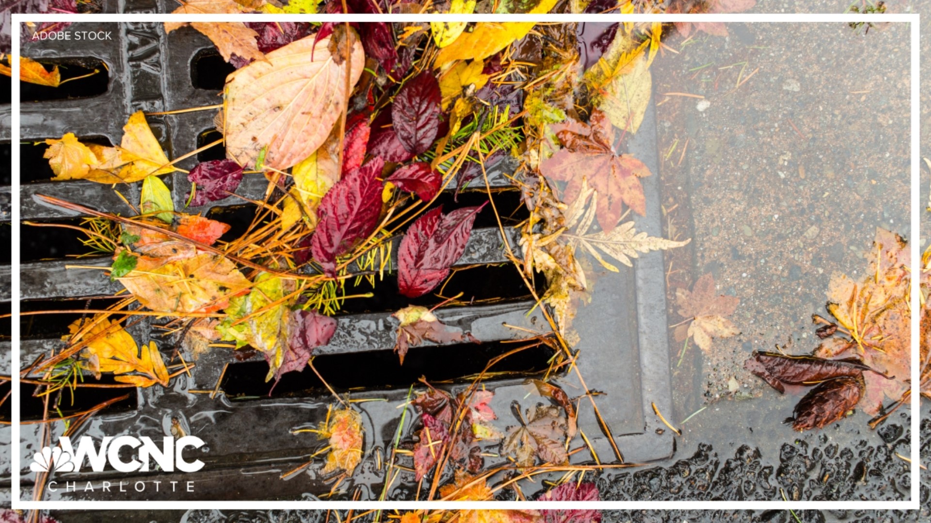 Weather conditions this fall can increase the chances of seeing flooding but doing these simple things can help protect you, your home, and your car from water.