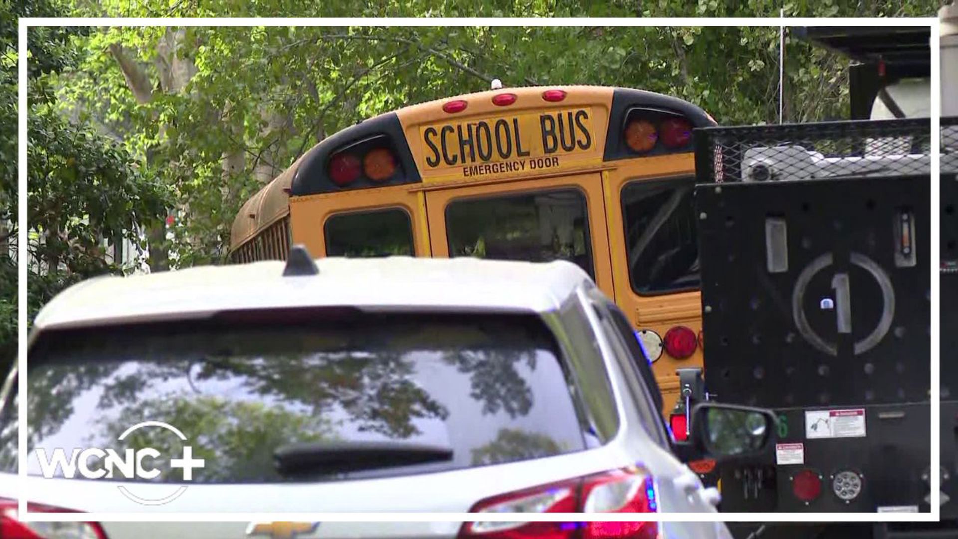 School bus driver hospitalized after crashing into tree in south ...