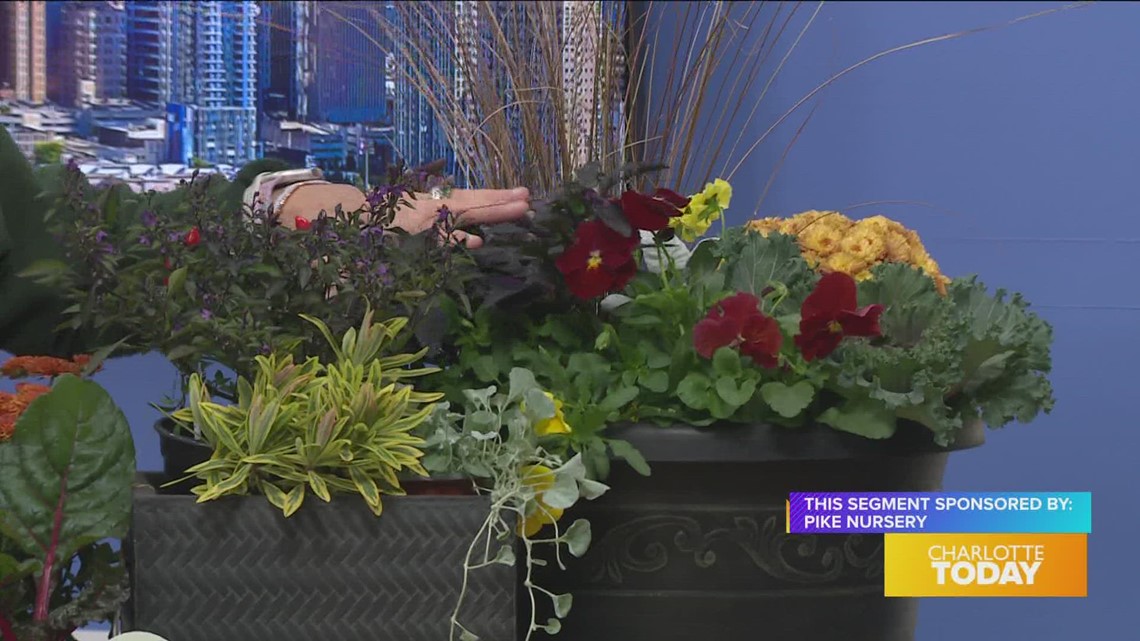 Pike Nursery shares tips on container gardens