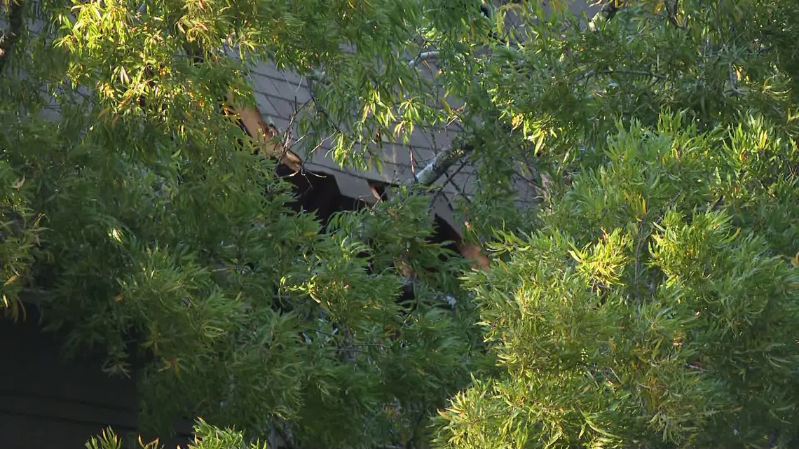 Person seriously hurt after tree crashes into east Charlotte apartment | wcnc.com