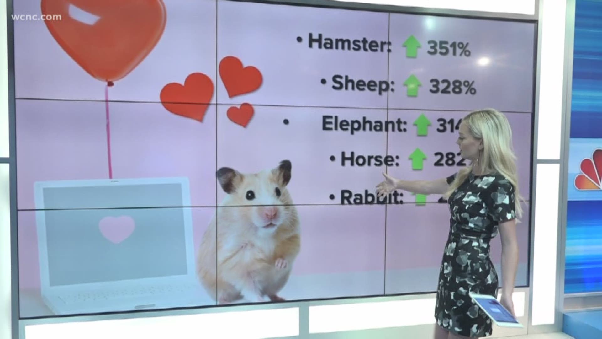 If you're looking for love online, you might want to post a picture of a hamster. According to Zoosk, your chances are up 351 percent if you have a photo of a hamster on your profile.