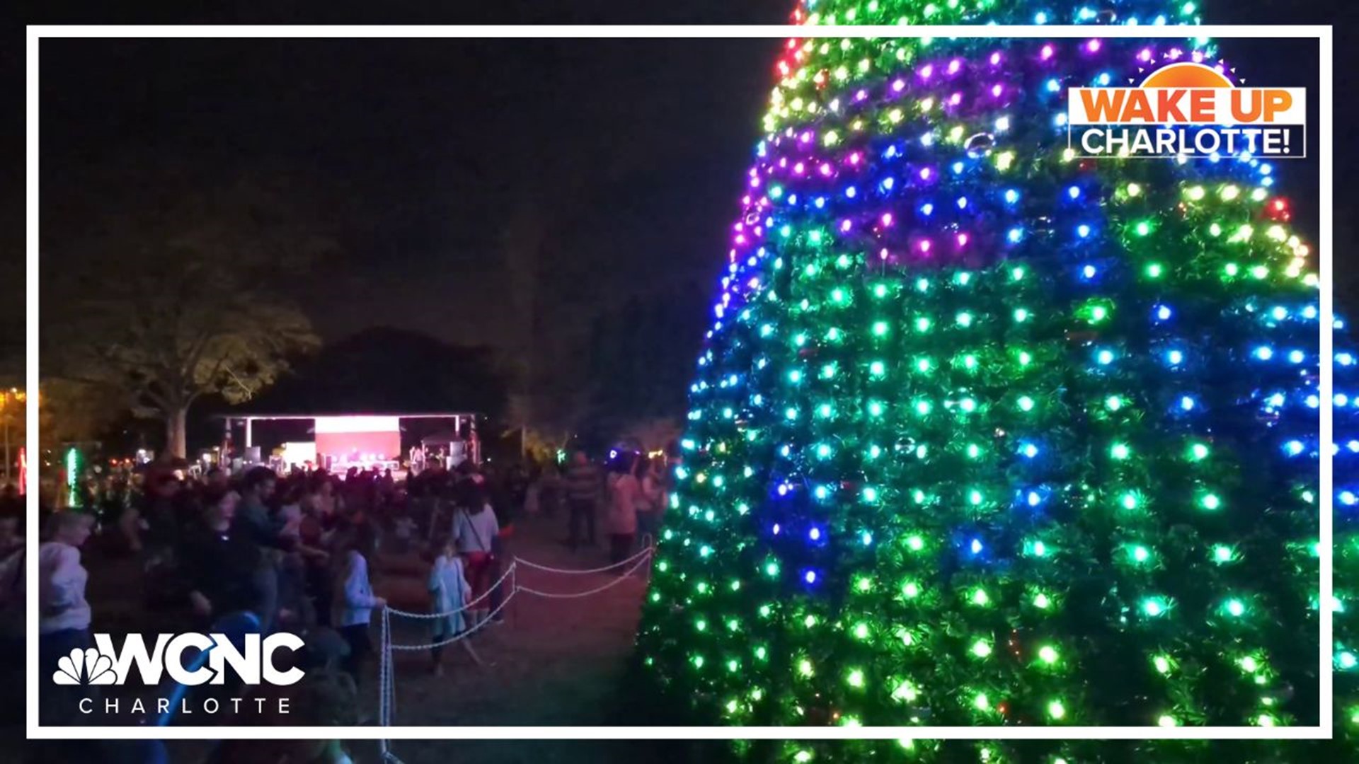 Matthews lights Christmas tree at Stumptown Park