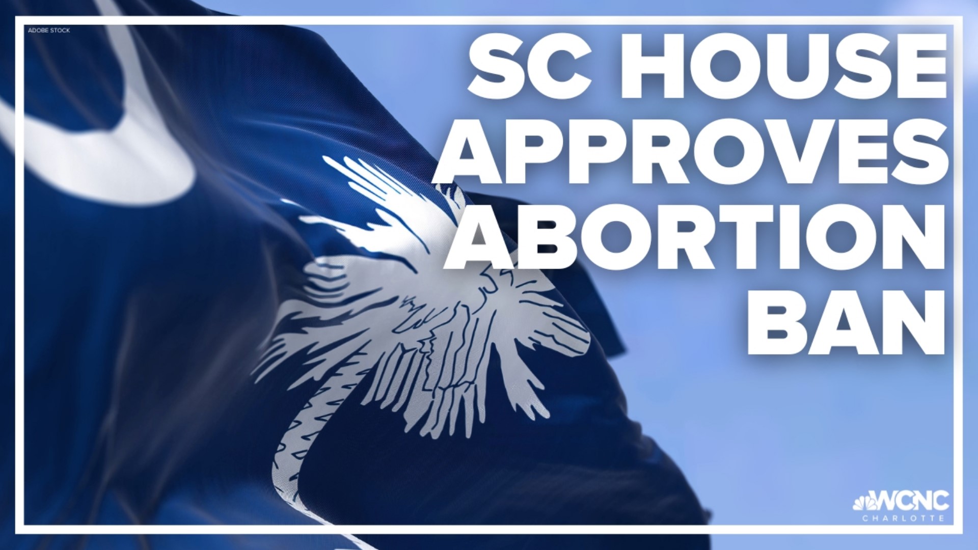 The bill has one more routine vote before it goes to the Senate, where stricter bans on abortions have seen tougher fights.