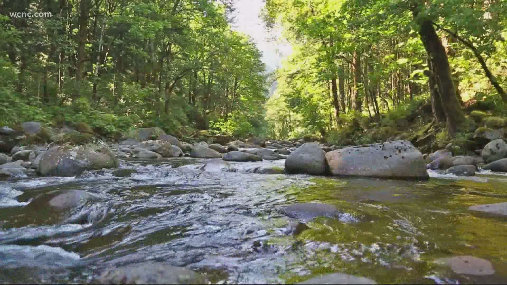 Get to know your local creeks this spring.