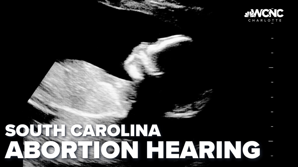 Abortion debate continues in South Carolina