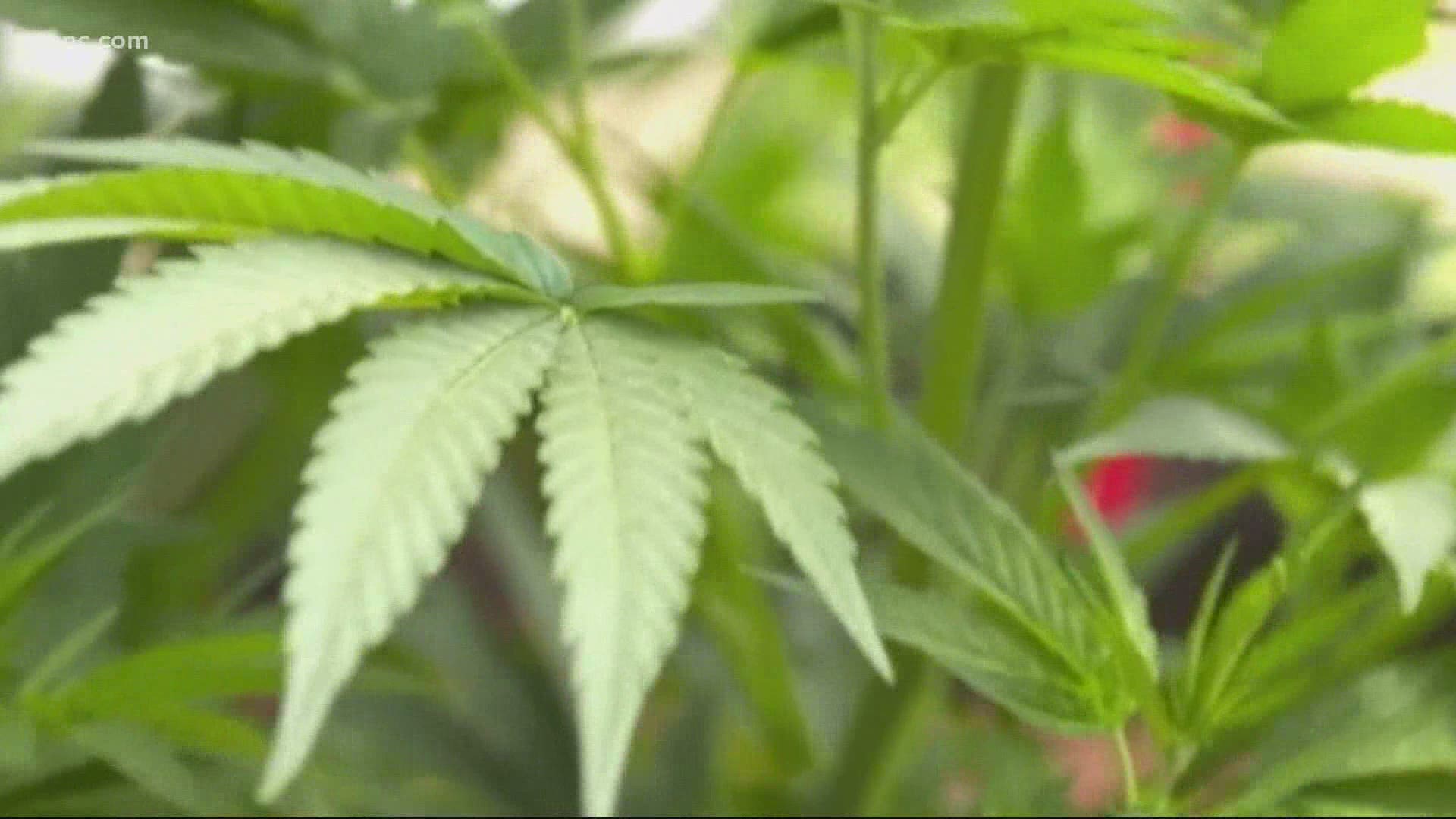 Former US Congressman Joe Cunningham is pushing for the legalization of marijuana in South Carolina.