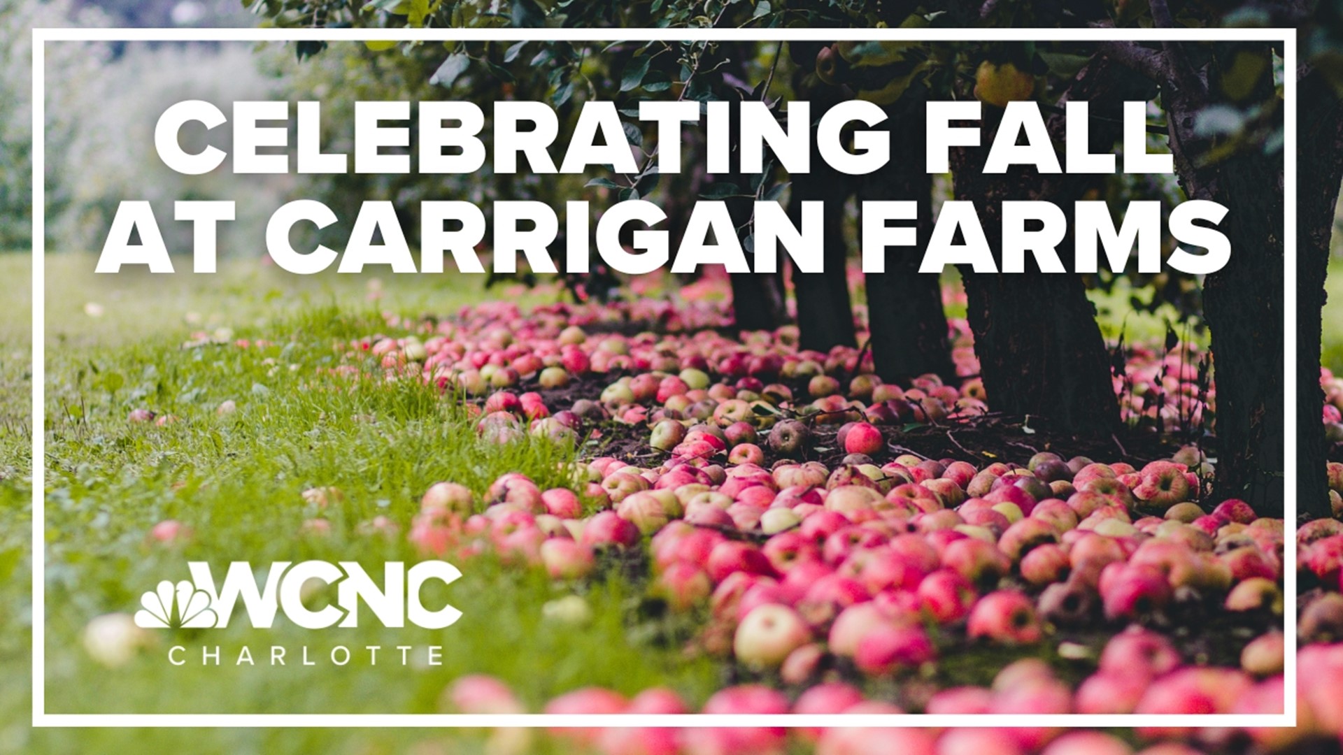 Celebrating the fall season at Carrigan Farms.