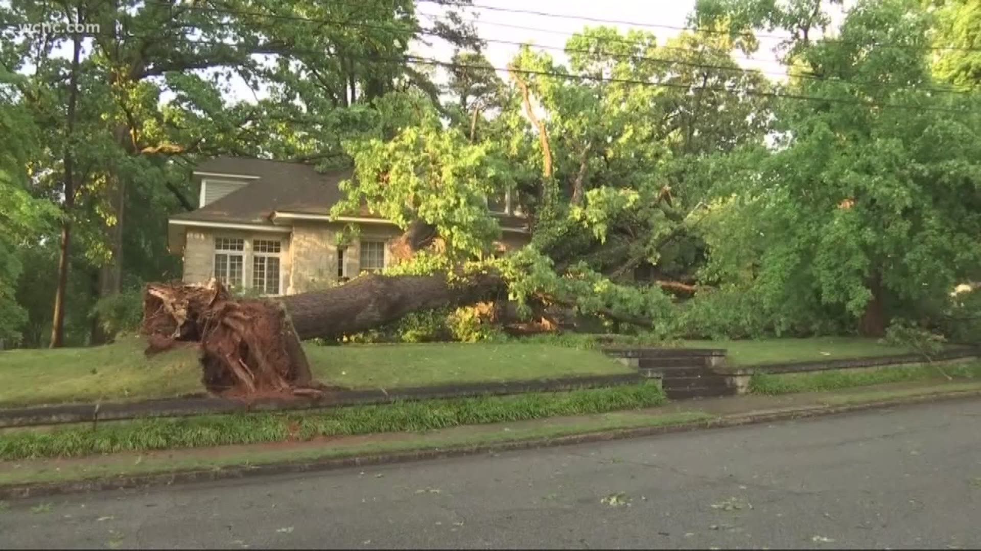 Strong storms topple trees and power lines