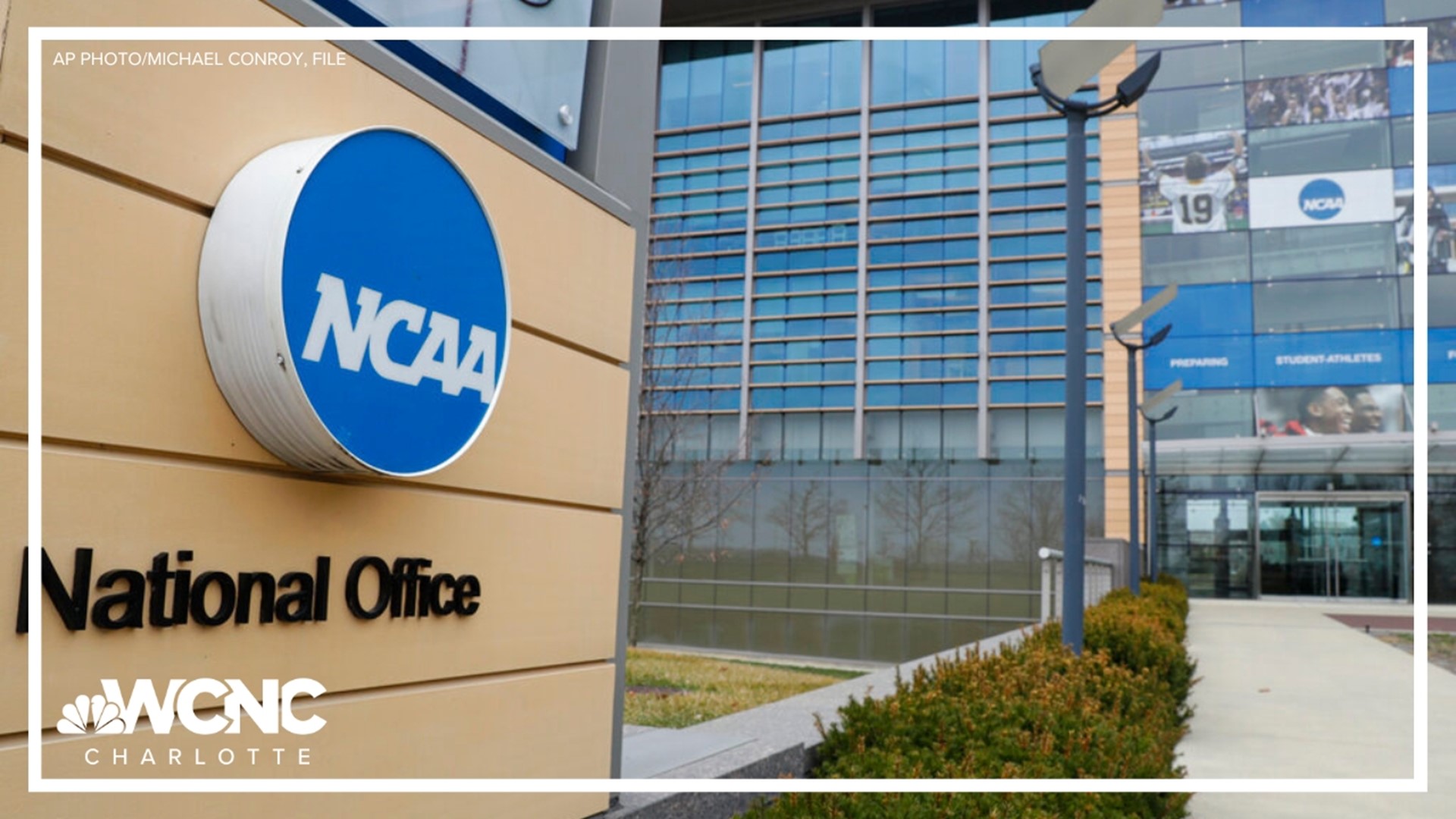 A former North Carolina State University swimmer is one of 16 athletes suing the NCAA for allowing transgender athletes to compete and share the same locker rooms.