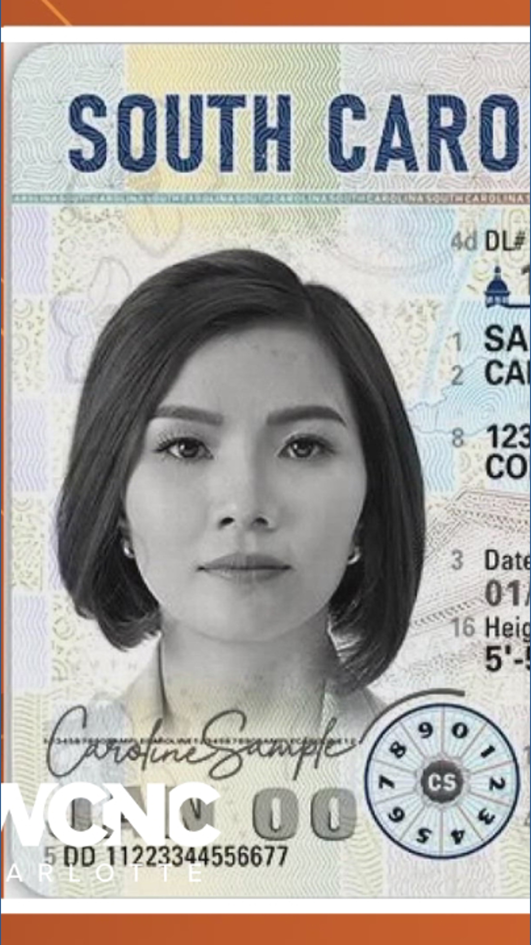 New South Carolina license features iconic state images