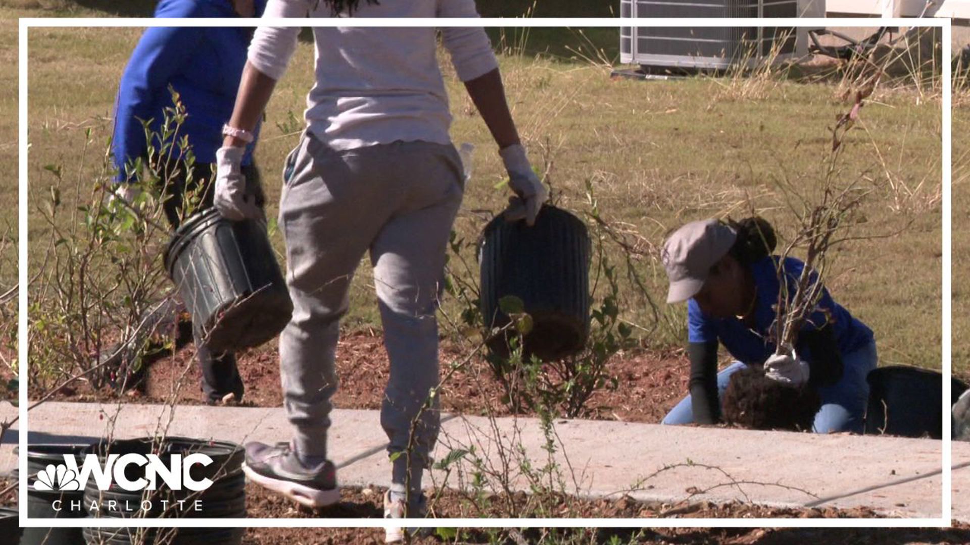 Volunteers with Habitat for Humanity broke ground on the 50th edible landscape garden in Charlotte. 