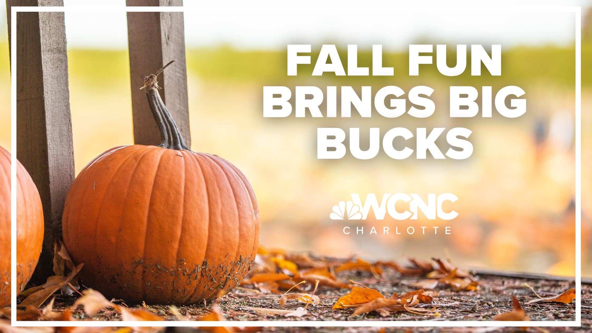 have a wonderful fall weekend