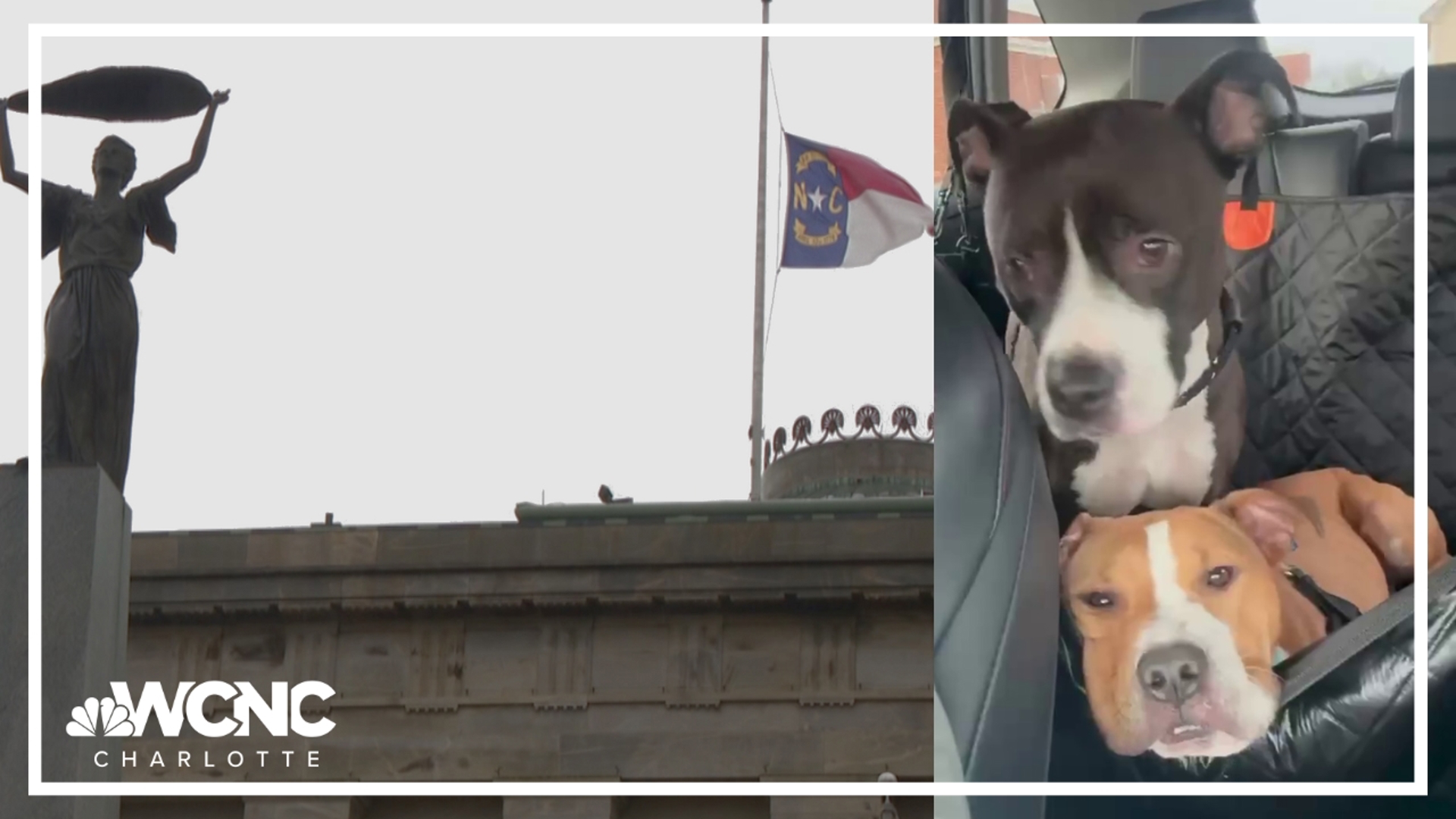 House Bill 327 would clarify state law so dogs not directly involved in fights aren't automatically labeled "dangerous" and potentially euthanized.