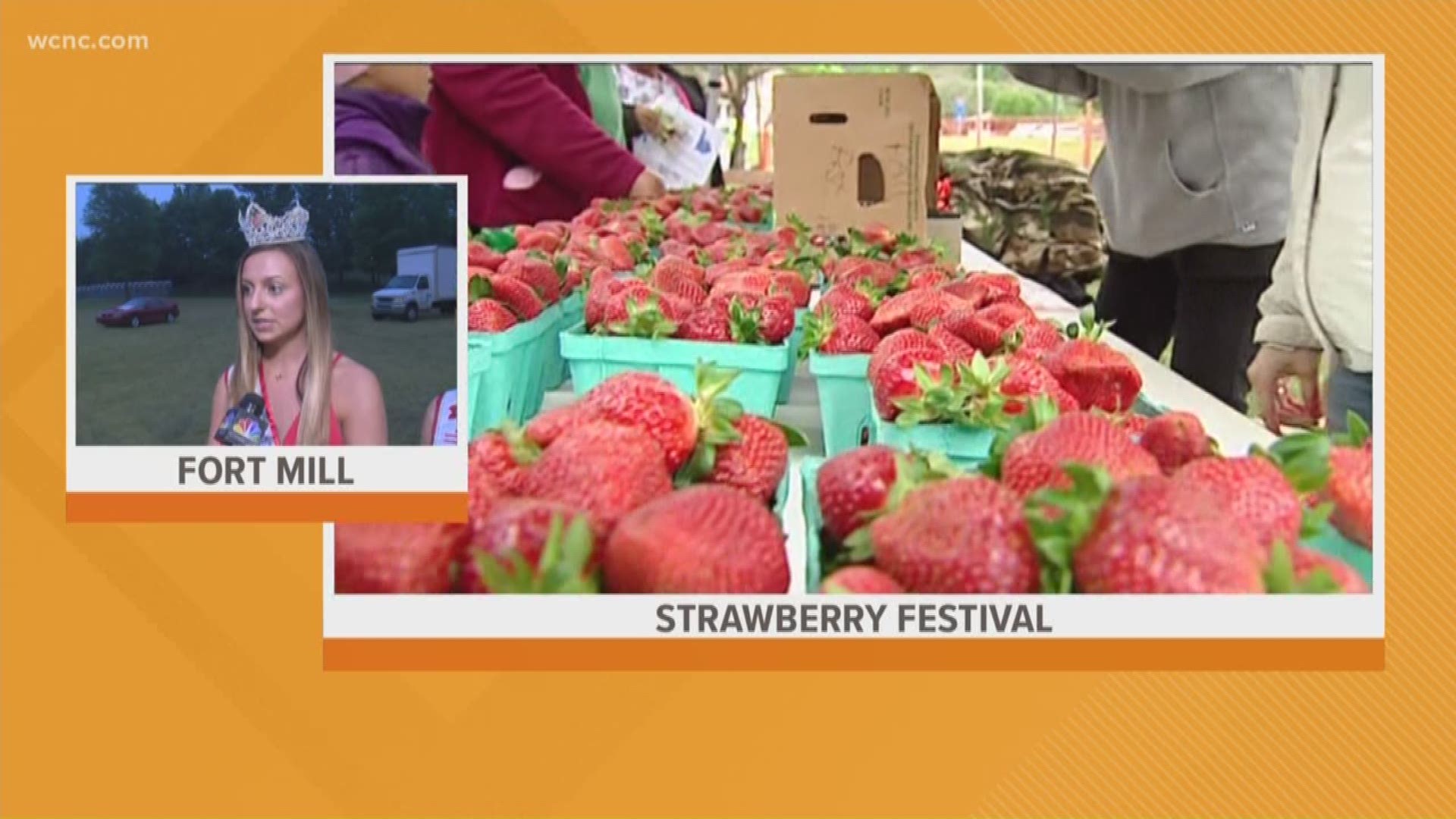 What you need to know about the South Carolina Strawberry Festival
