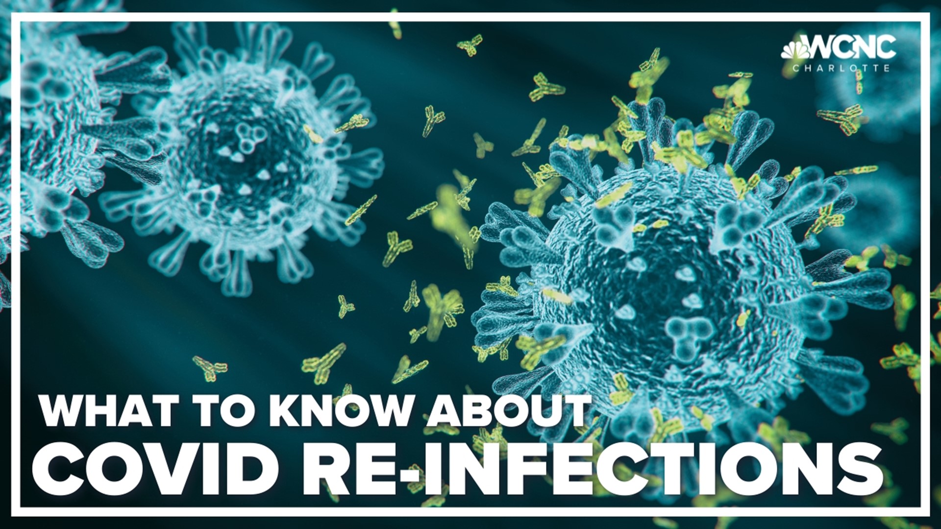 Data shows reinfections are most commonly the BA.5 subvariant.