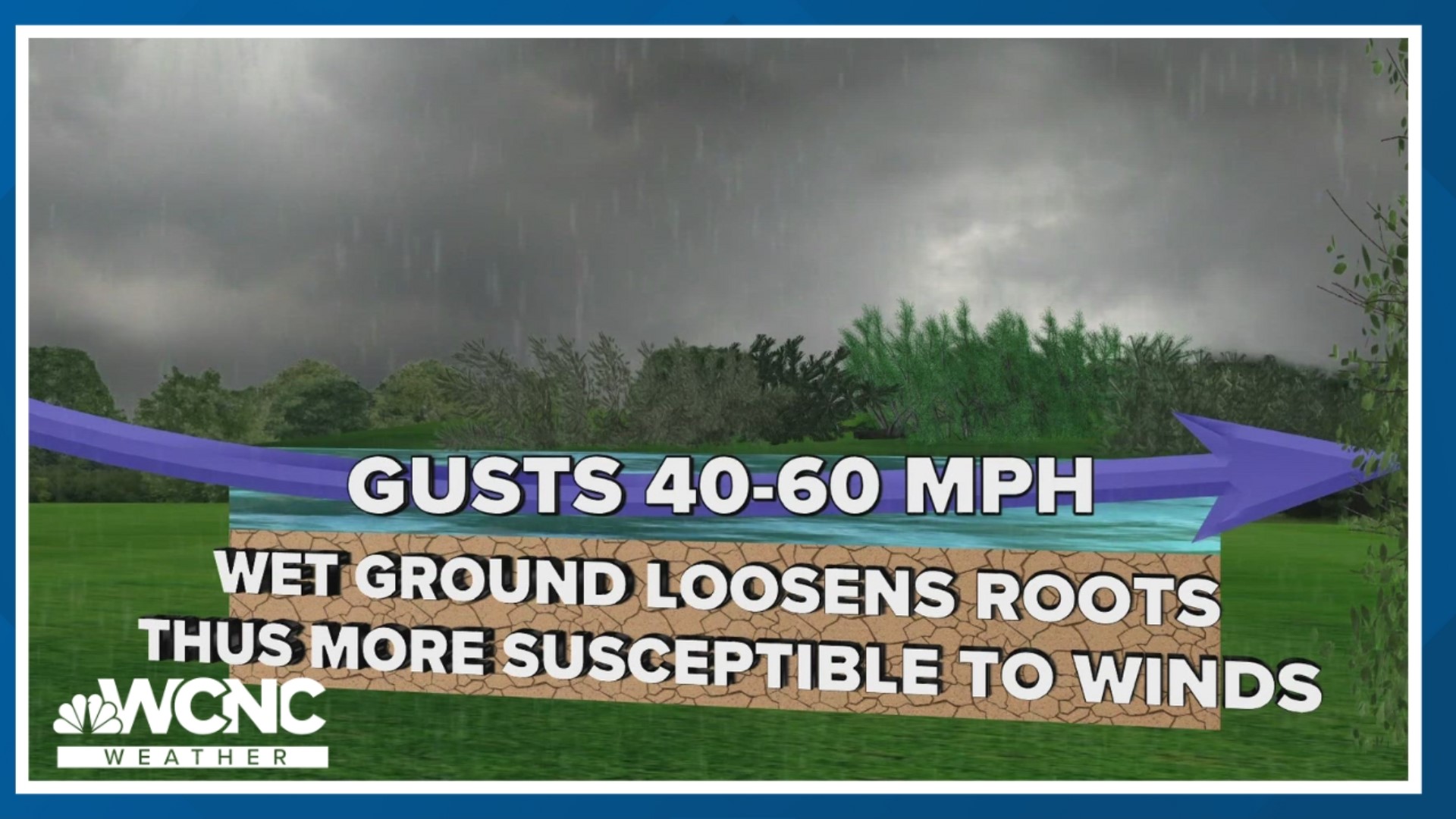 Meteorologist Chris Mulcahy explains why trees fall during strong storms to help you stay weather aware.