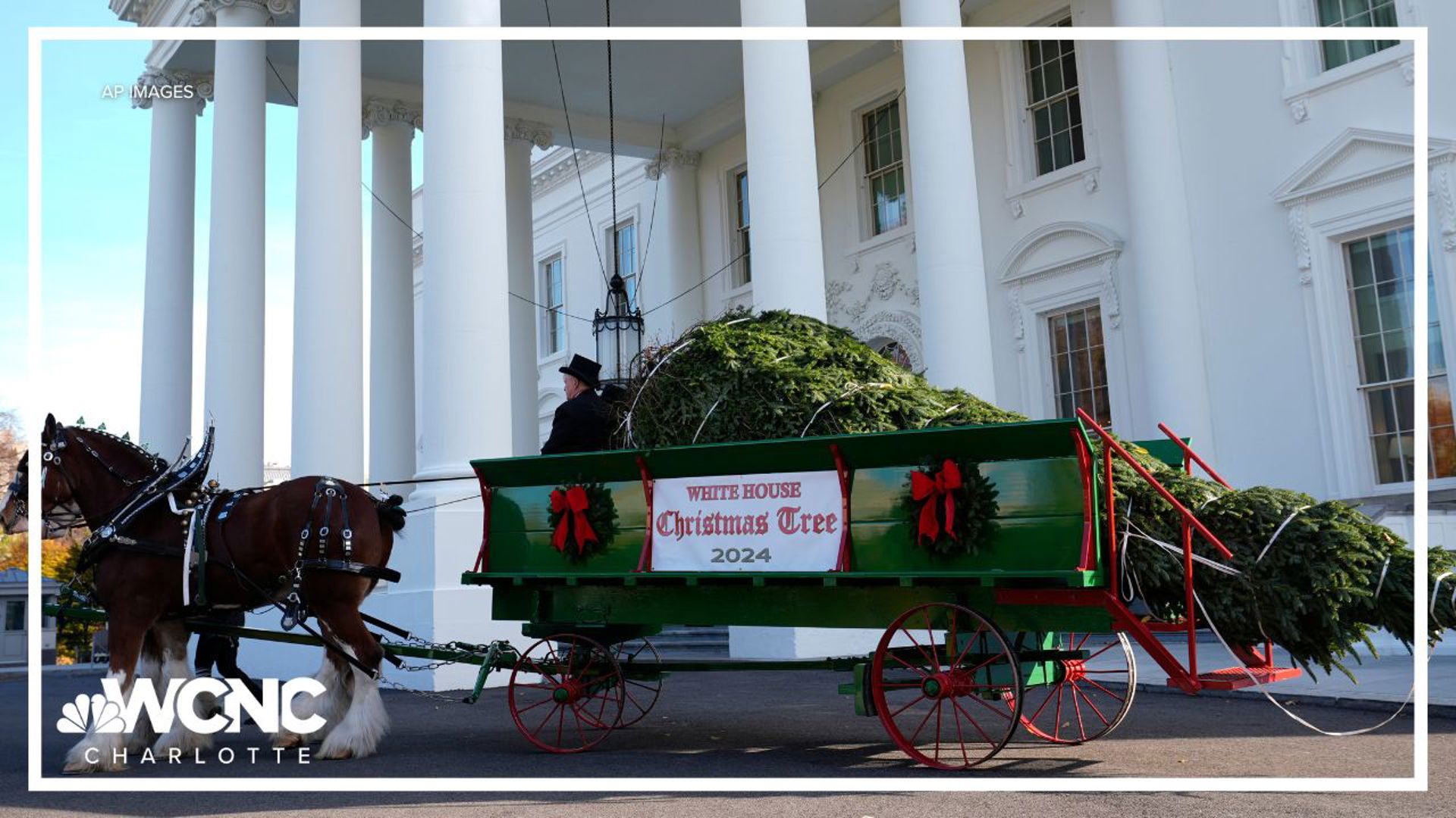 Cartner's Christmas Tree Farm was the winner of the National Christmas Tree Association’s national tree contest. It's a high honor for the Cartner brothers.