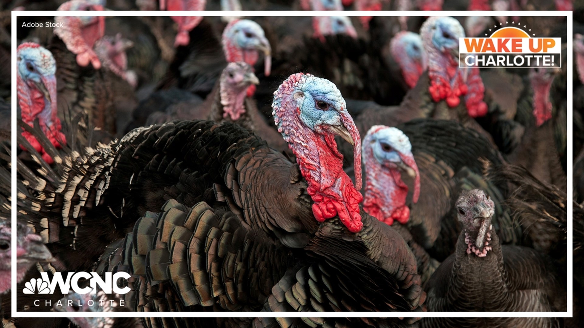 Turkey producers in the Tar Heel State may have a lucrative new customer.