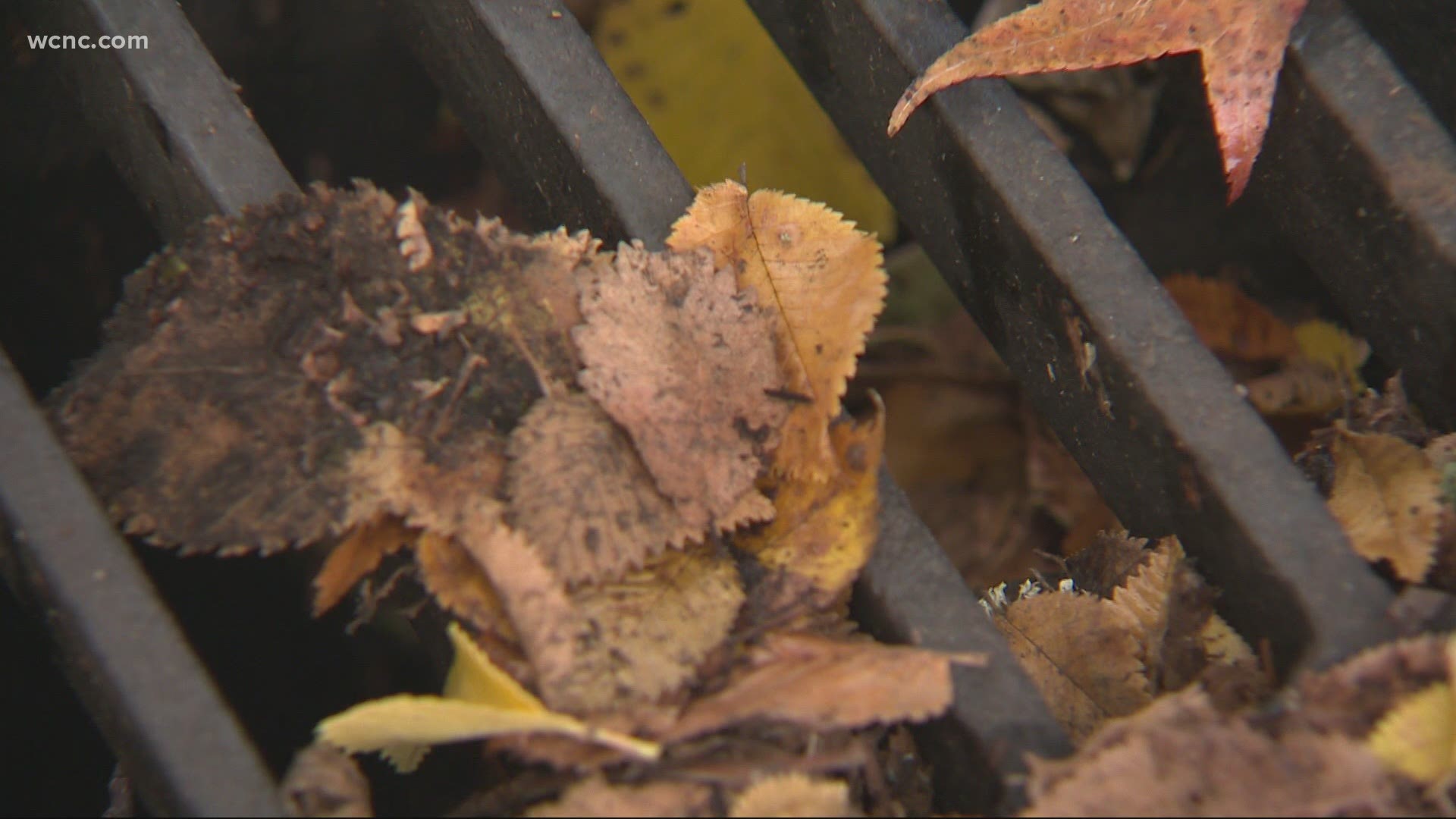Especially during fall foliage, residents are reminded to clear storm drains ahead of storms.