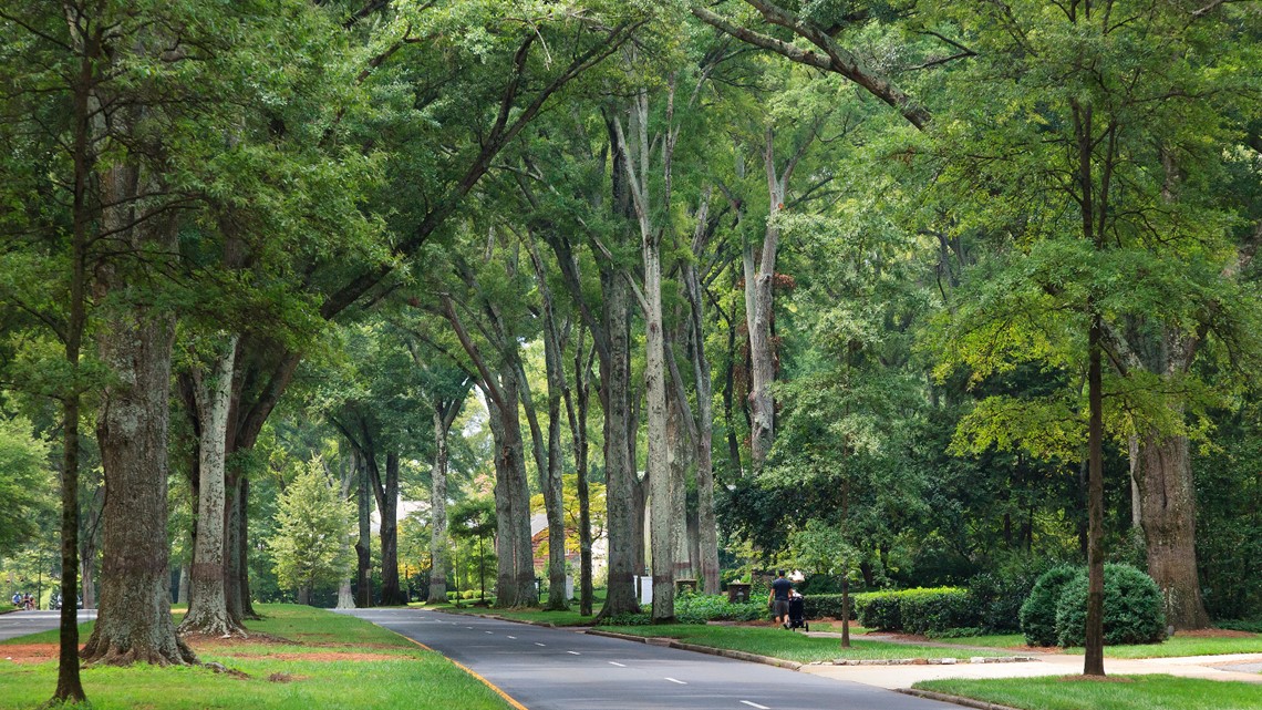 City of Charlotte launches tool to preserve city's tree canopy