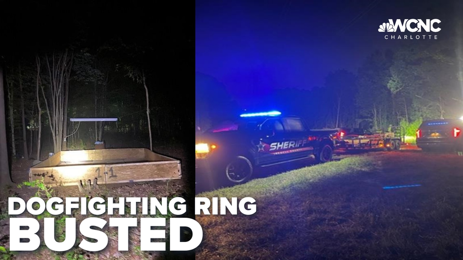 According to the sheriff's office, an anonymous caller alerted it to a possible dog-fighting event happening on Sena Lane, east of Statesville.