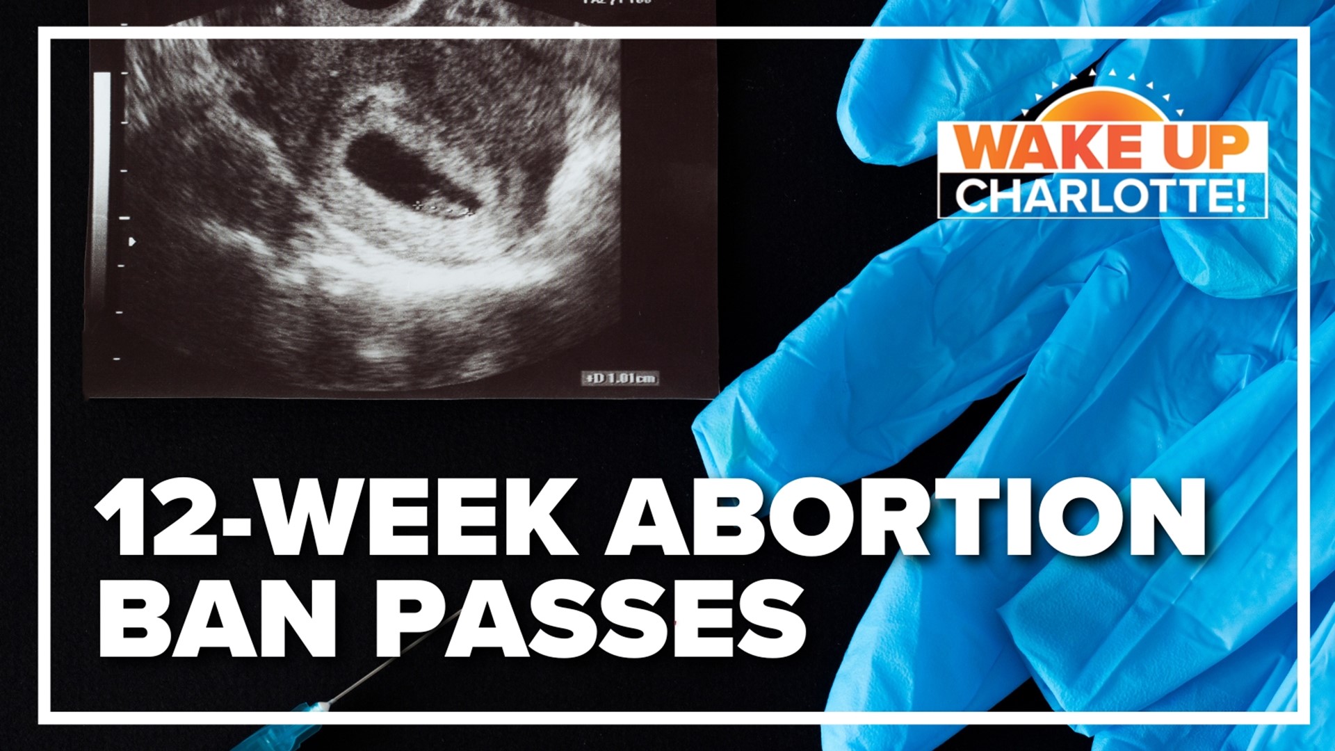 The three-fifths majority vote means a 12-week abortion ban is set to become law.