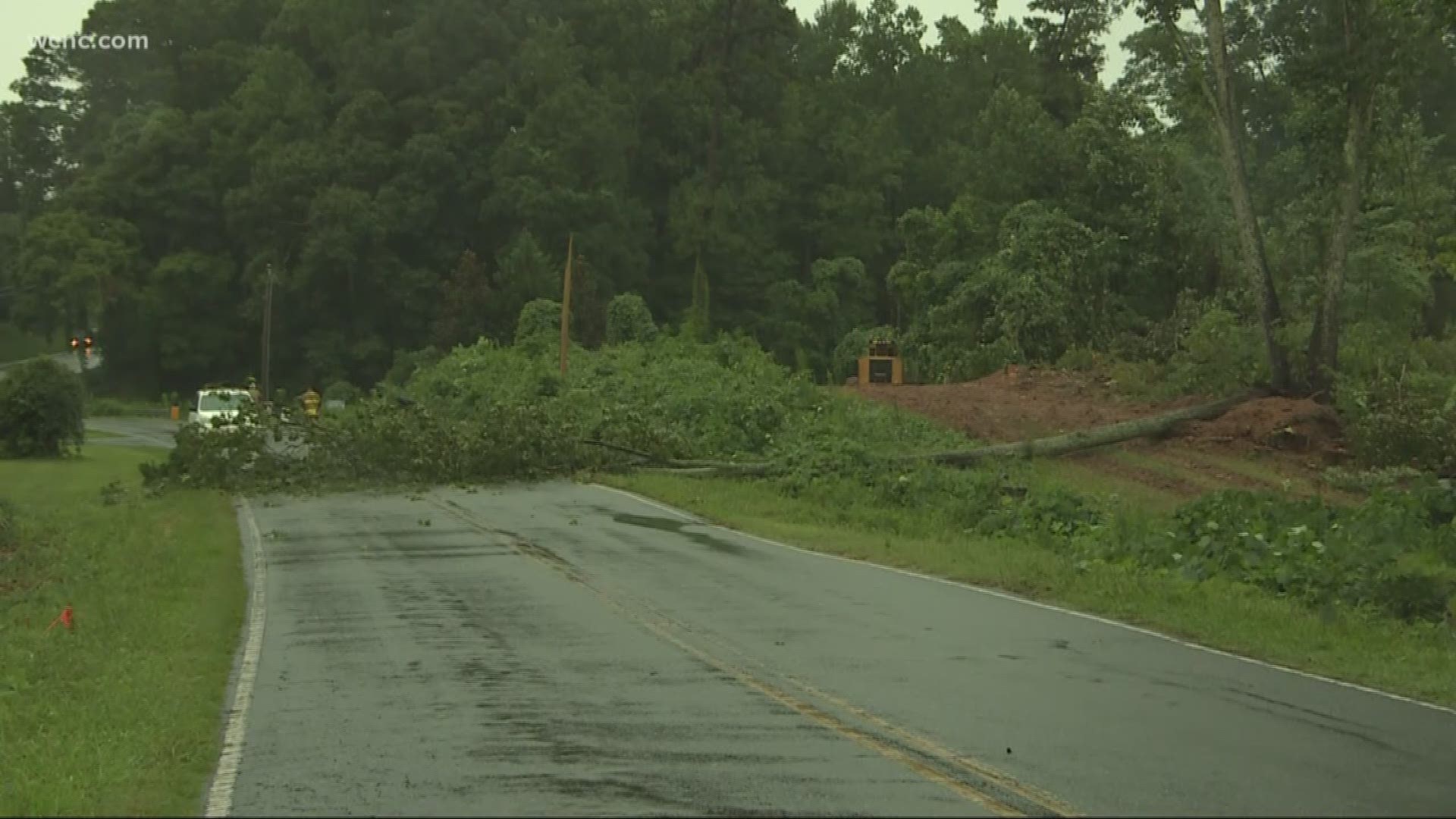 Heavy rains take down trees, wash away roads