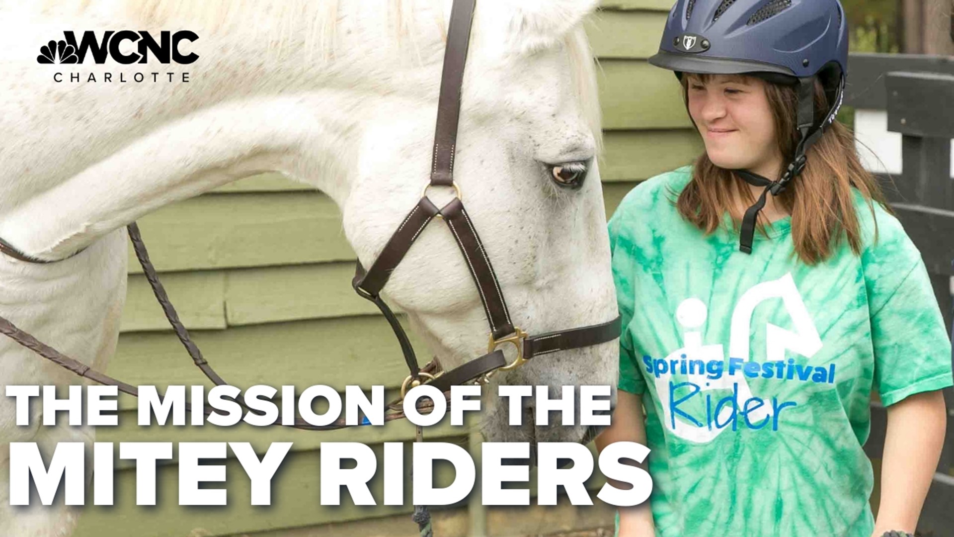 A non-profit in Union County that provides therapeutic horseback riding for kids with special needs.