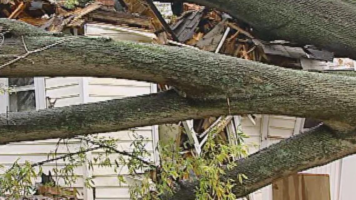 Mecklenburg County's 2002 ice storm caused $40M worth of damage, became most costly weather event