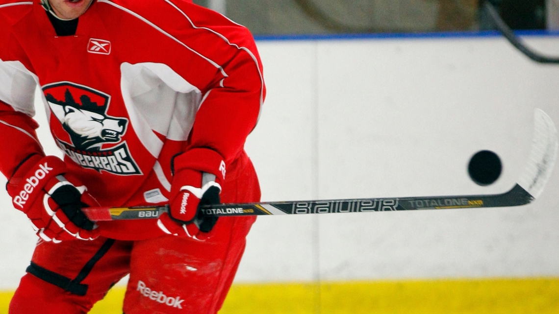 Abbotsford Canucks Lead Calder Cup Final 3-1 Over Charlotte Checkers
