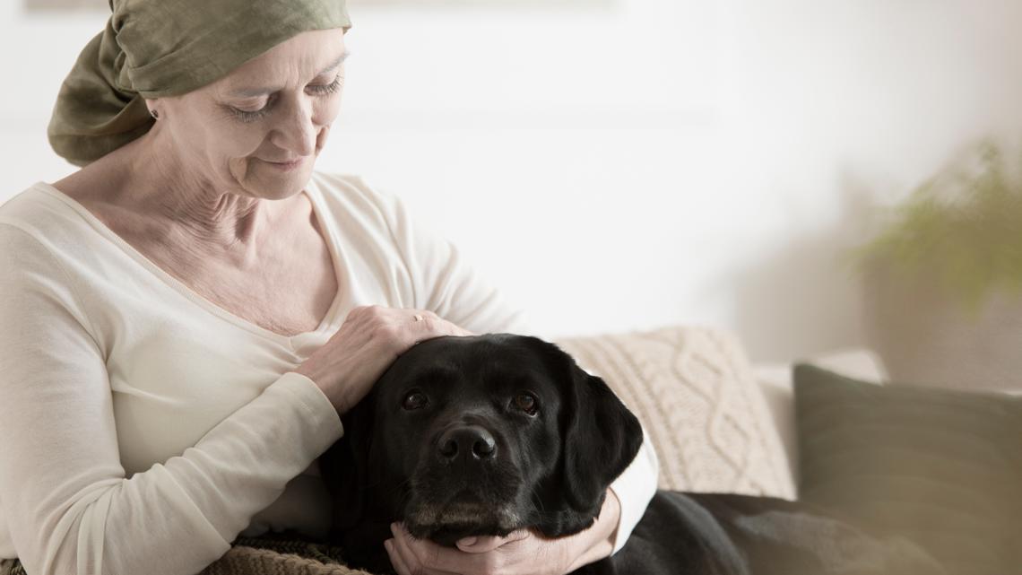 VERIFY | How to include pets in your will to find them a new home
