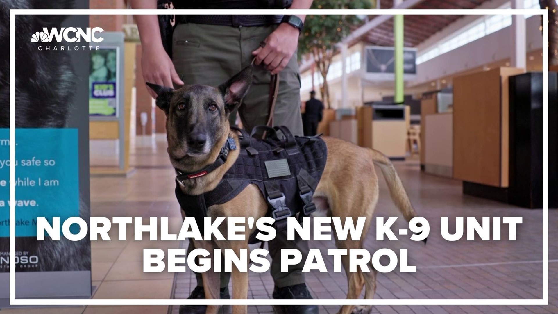 Due to the rising number of shootings and robberies at Northlake Mall, a new K-9 unit will be added to the mall's security.