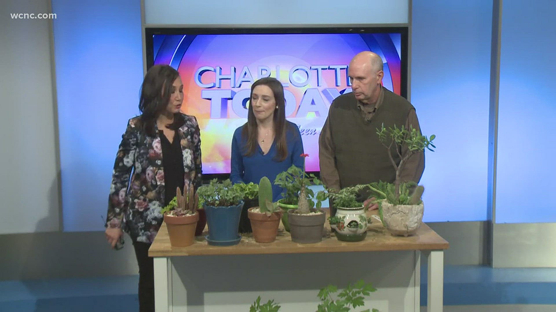 Lauren Hill and James Polk from The master gardeners volunteers of Cabarrus County tell us about the festival