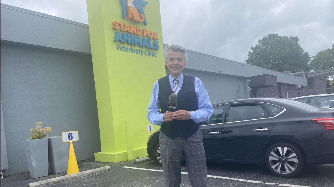 Stand For Animals has a mission in Charlotte