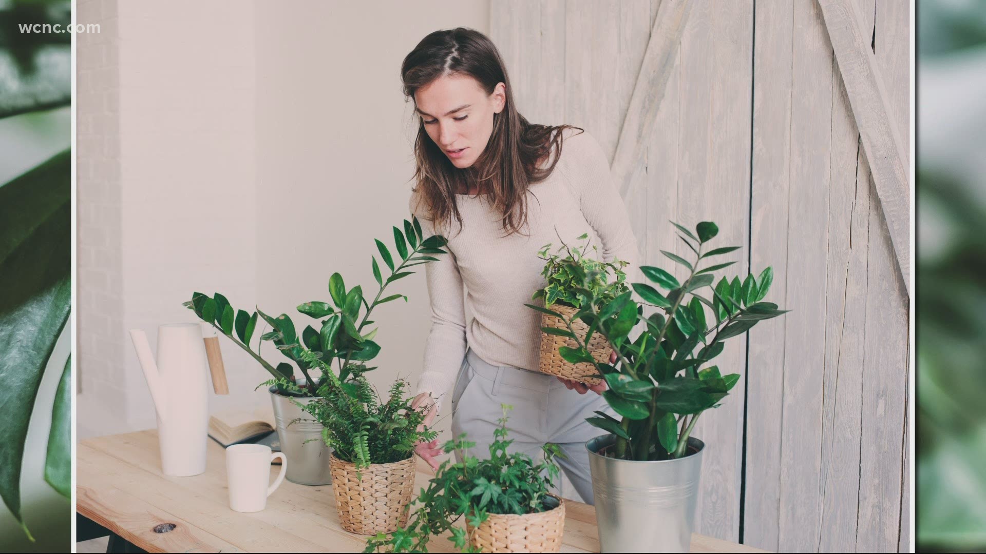 Bobbie Mabe, a horticultural therapist at HopeWay, talks about the impacts of plants and gardening on your mental health.