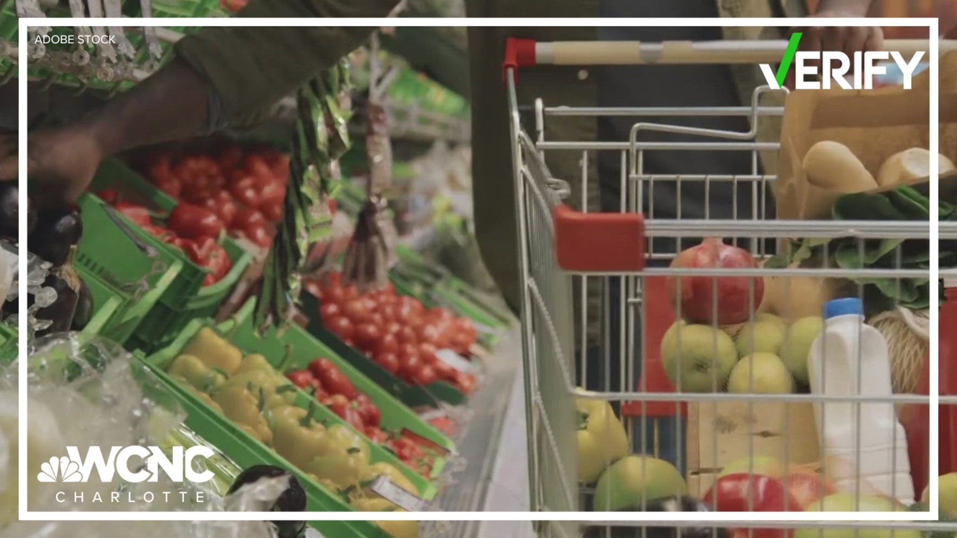 A look back at the Food Pyramid: how has it changed throughout the ...