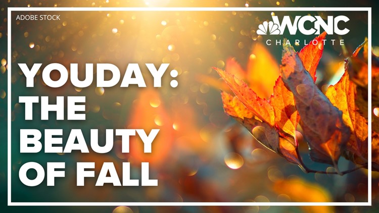 YouDay: The beauty of fall