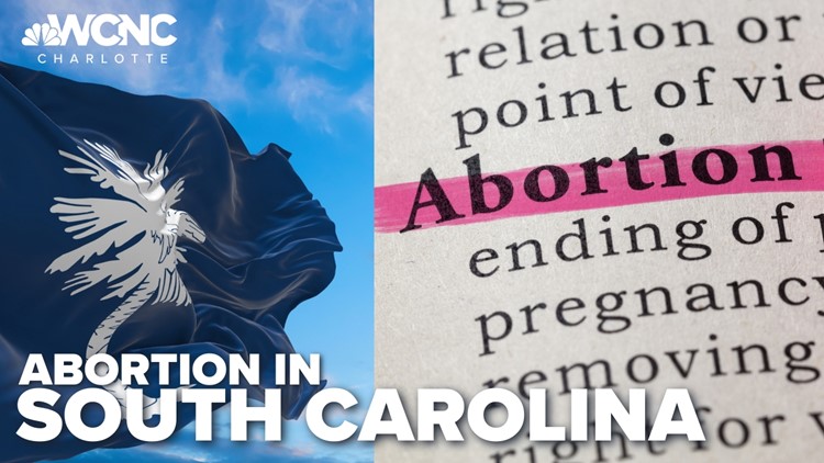 SC lawmakers reject tighter abortion restrictions for victims of rape, incest