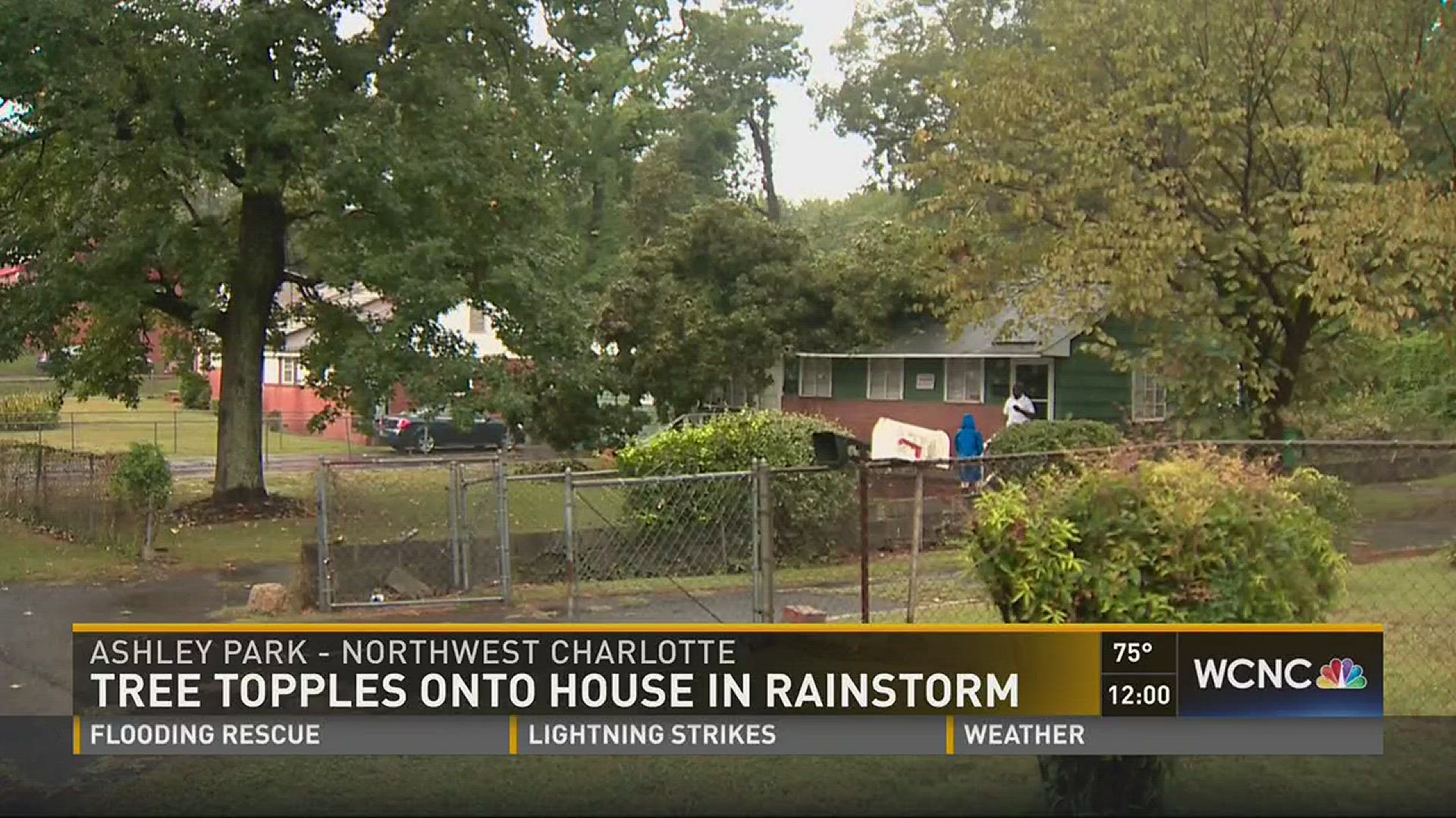 Tree toppled onto house in rainstorm