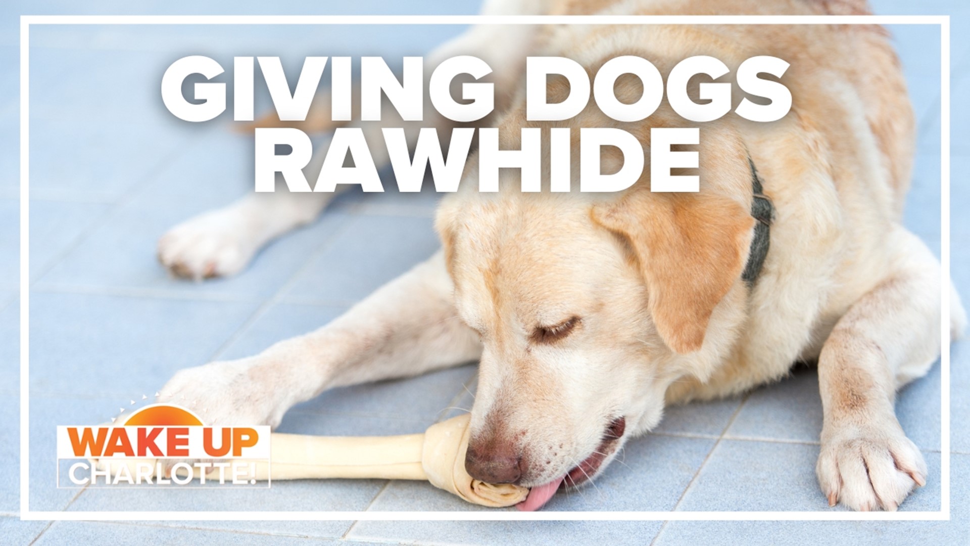 are rawhide dog treats safe