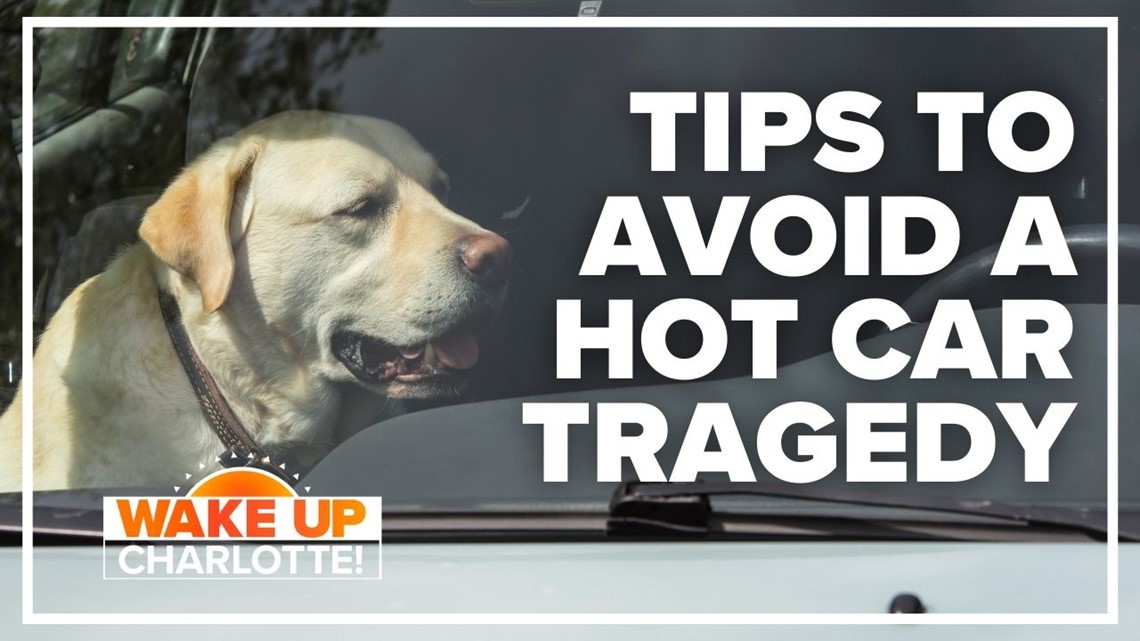 Tips to avoid leaving a child or pet inside a hot car