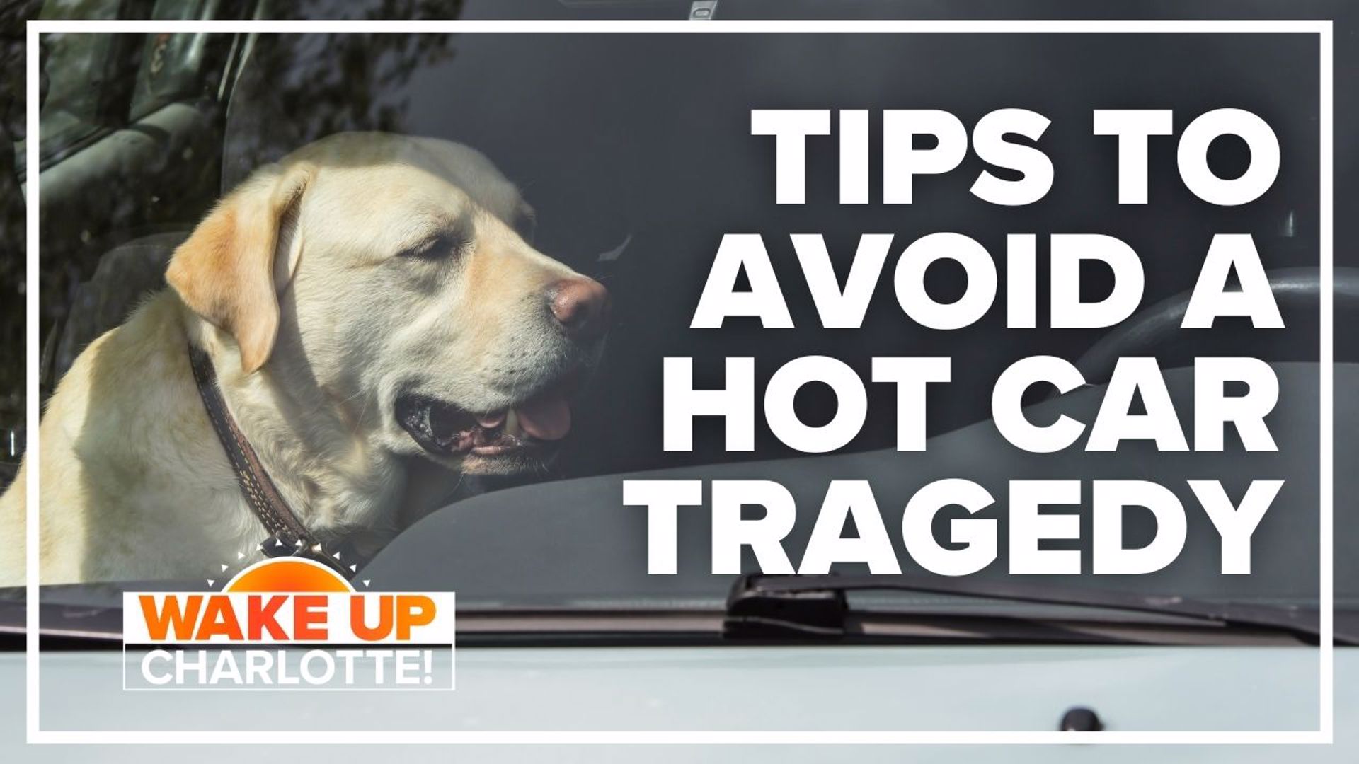 Parents know the dangers of leaving their kids or pets in a hot car on a warm day, but if you think it can't happen to you, think again.