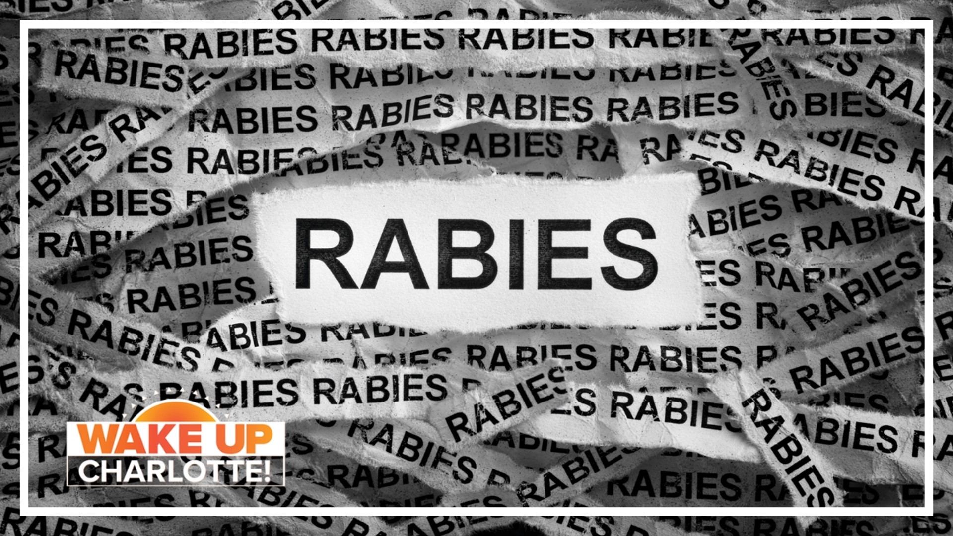 Another confirmed case of rabies was reported in Gaston County over the weekend.