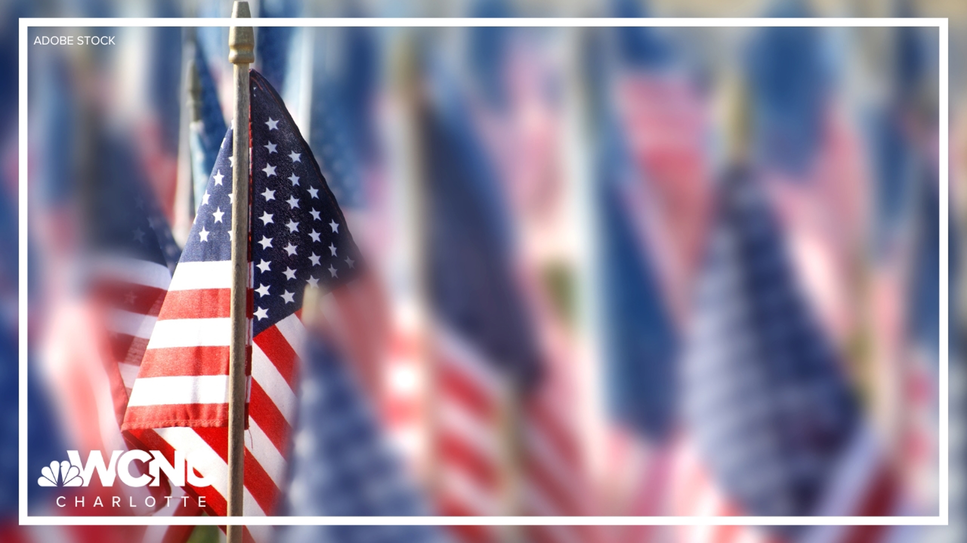 Veterans Day honors those who have served in the U.S. military and didn't get its official name until 1954.