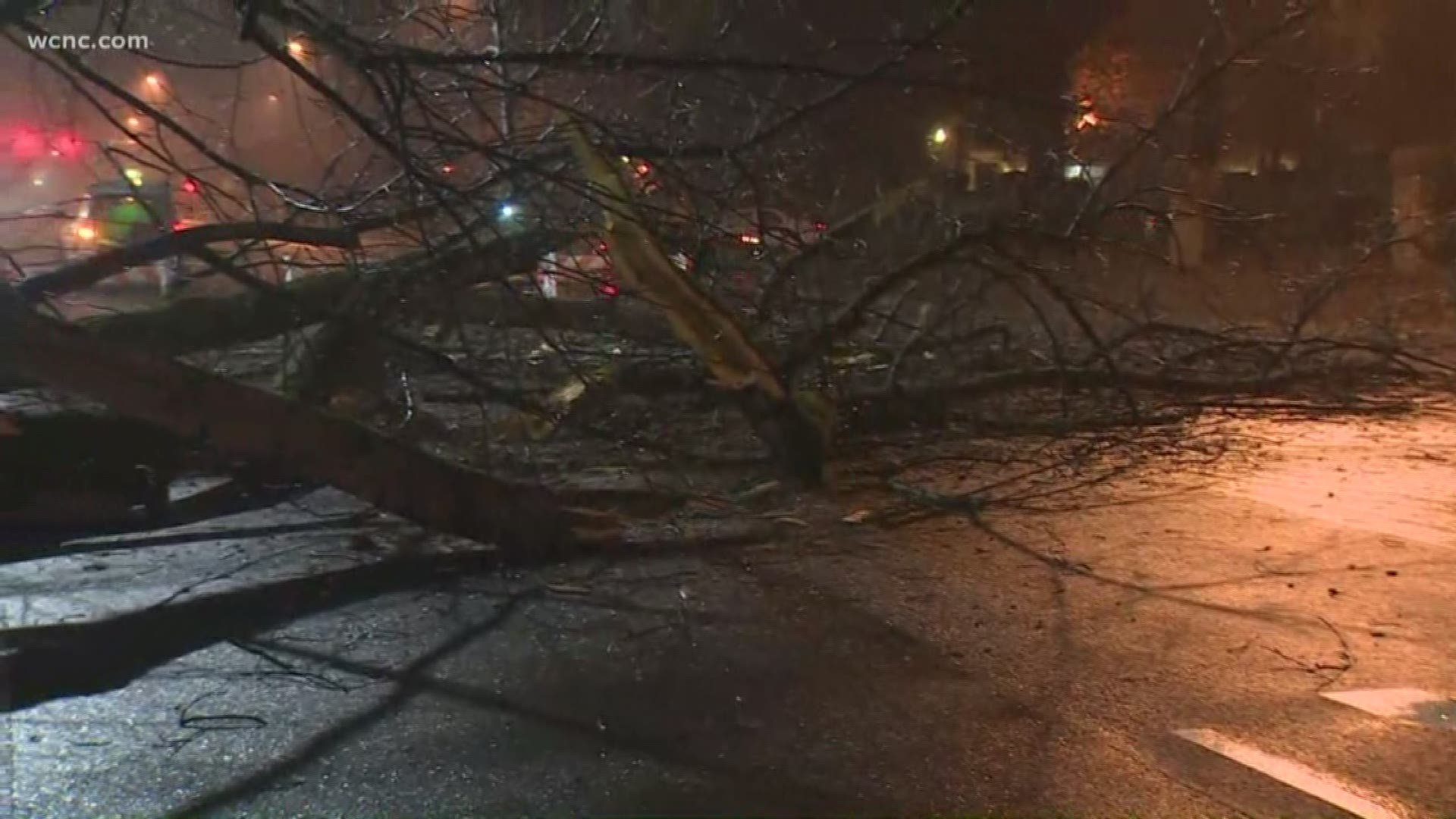 Storms that moved through Charlotte Wednesday night took down a massive tree on Colony Road in south Charlotte.