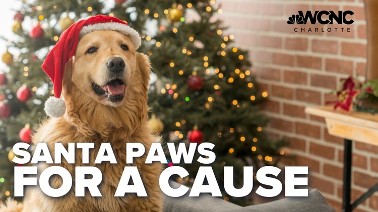 'Santa Paws' event this weekend