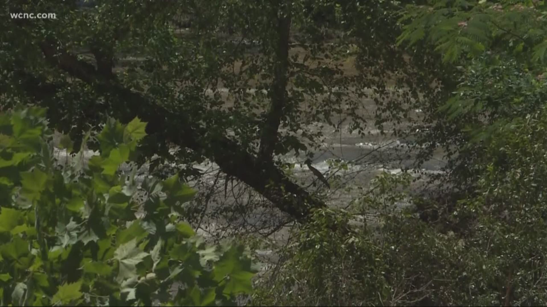 In just the past two weeks, two teenagers have drowned while swimming in the river. A 14-year old boy died back on June 11th. Tuesday, rescuers recovered the body of a 16-year-old girl.